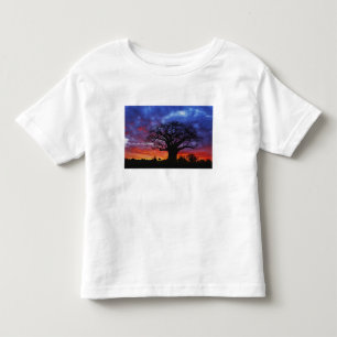 T-shirt Pour Les Tous Petits arbre baobab africain, Adansonia digitata, 2