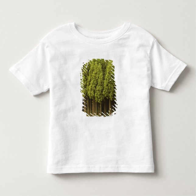 T-shirt Pour Les Tous Petits Arbres de cèdre de Koya Sugi (Devant)