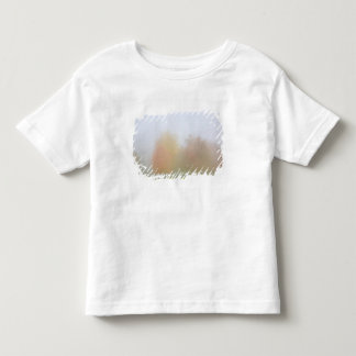T-shirt Pour Les Tous Petits Arbres de chute enveloppés en brume
