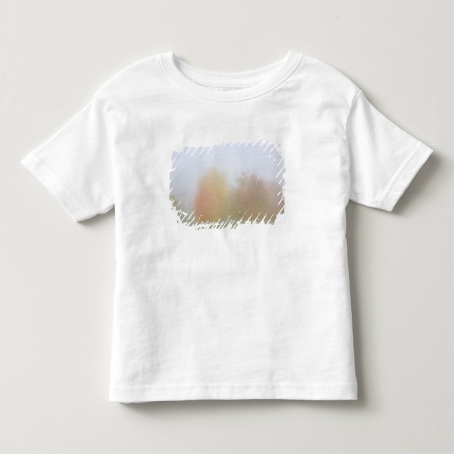 T-shirt Pour Les Tous Petits Arbres de chute enveloppés en brume (Devant)