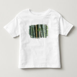T-shirt Pour Les Tous Petits Asie, Japon, Kyoto, Arashiyama, Sagano, Bambou