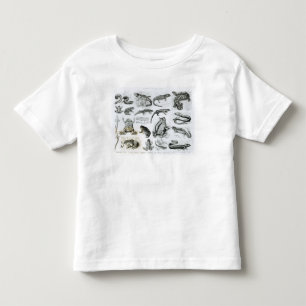 T-shirt Pour Les Tous Petits Batraciens et d'autres amphibiens