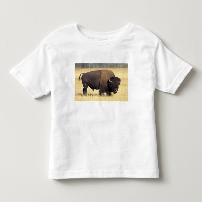 T-shirt Pour Les Tous Petits Bison Bull à Yellowstone National (Devant)