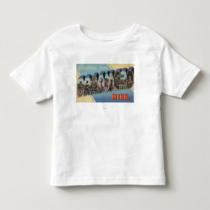 T-shirt Pour Les Tous Petits Brainerd, Minnesota - grandes scènes de lettre