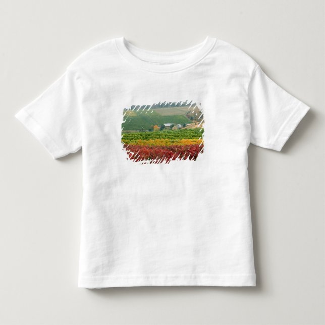 T-shirt Pour Les Tous Petits Brouillard sur Gehring Brothers Winery niché (Devant)