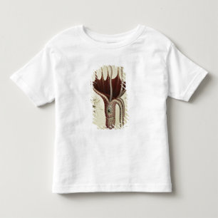 T-shirt Pour Les Tous Petits Calmar, Pl.2 de 'Histoire Naturelle