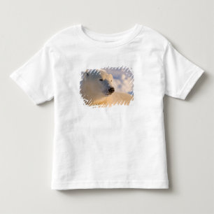 T-shirt Pour Les Tous Petits Canada, Manitoba, baie d'Hudson Ours polaire