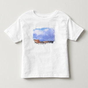 T-shirt Pour Les Tous Petits Capitol Reef National Park, Utah. États-Unis. Cumu