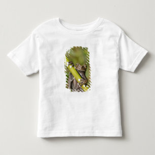 T-shirt Pour Les Tous Petits Captive Tapichalaca Grenouille Hyloscirtus