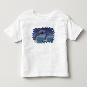 T-shirt Pour Les Tous Petits Caraïbes, dauphins Tursiops
