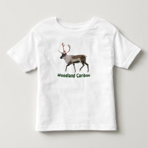 T-shirt Pour Les Tous Petits Caribou des bois