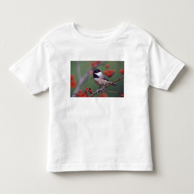 T-shirt Pour Les Tous Petits Carolina Chickadee (Devant)