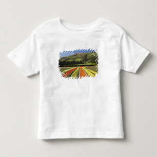 T-shirt Pour Les Tous Petits Champs de tulipes, près de Tapanui, ouest d'Otago,