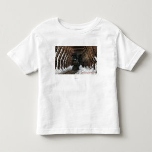 T-shirt Pour Les Tous Petits Chemin de fer de Showsheds