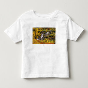 T-shirt Pour Les Tous Petits Chute d'eau au-dessous du mont Cannon dans le parc