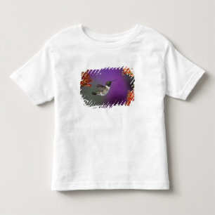 T-shirt Pour Les Tous Petits Colibri à gorge noire, Archilochus alexandri,