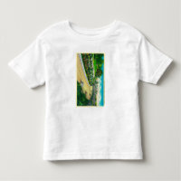 Commande de Buena Vista, rive entrante