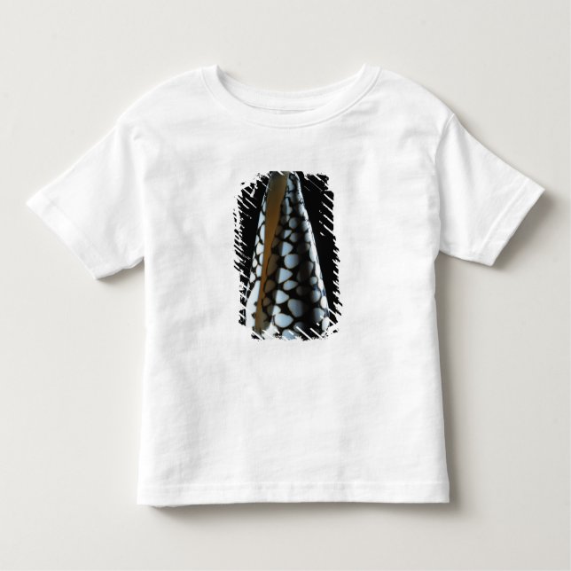 T-shirt Pour Les Tous Petits Coquille 2 de cône (Devant)