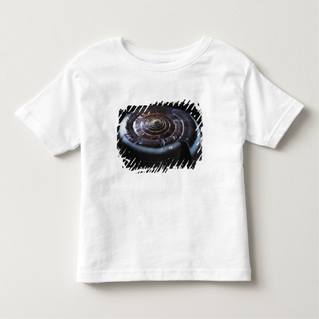 T-shirt Pour Les Tous Petits Coquille de cône (Devant)