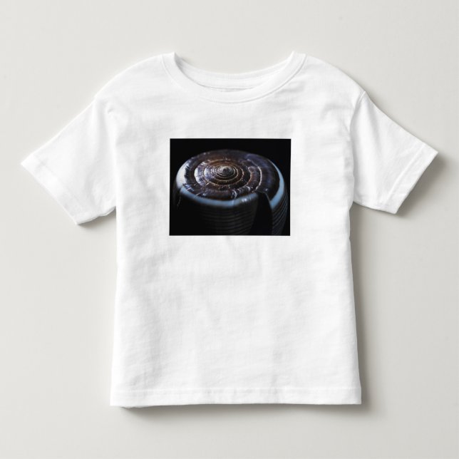 T-shirt Pour Les Tous Petits Coquille de cône (Devant)