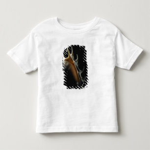 T-shirt Pour Les Tous Petits Coquille de conque