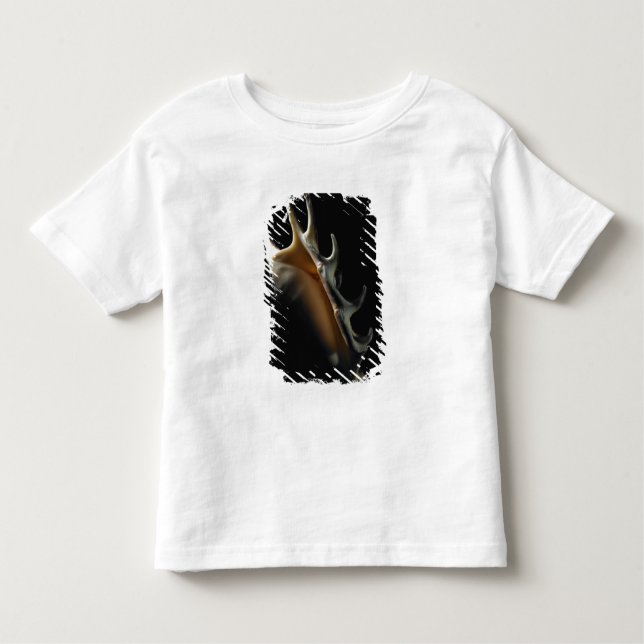 T-shirt Pour Les Tous Petits Coquille de conque (Devant)