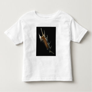 T-shirt Pour Les Tous Petits Coquille de conque