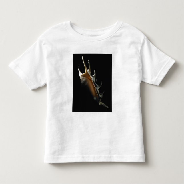 T-shirt Pour Les Tous Petits Coquille de conque (Devant)