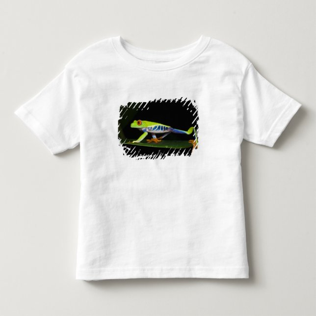 T-shirt Pour Les Tous Petits Costa Rica, Grenouille aux yeux rouges (Agalychnis (Devant)