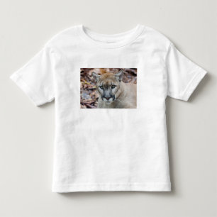 T-shirt Pour Les Tous Petits Cougar, lion de montagne, panthère de Floride, Pum