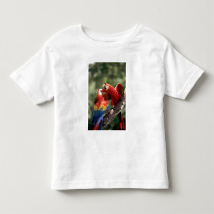 T-shirt Pour Les Tous Petits Couple d'Ara rouge