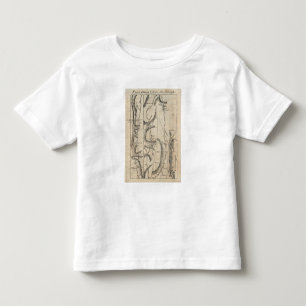 T-shirt Pour Les Tous Petits D'Albany à Newborough 33