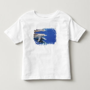 T-shirt Pour Les Tous Petits dauphins tachetés de l'Atlantique. Bimini, Bahamas