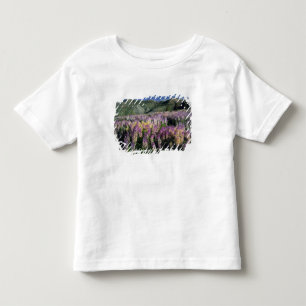 T-shirt Pour Les Tous Petits DÉSAREAUX JARBIDGE, NEVADA. USA. Lupin rameux