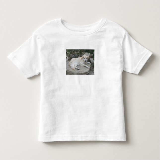T-shirt Pour Les Tous Petits Dog Resting On A Rock (Devant)