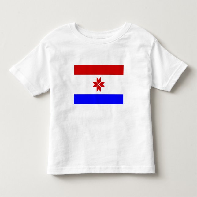T-shirt Pour Les Tous Petits Drapeau Mordovia (Devant)