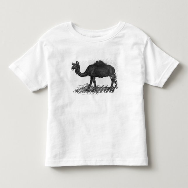 T-shirt Pour Les Tous Petits Dromadaire, de 'Historial Animalium (Devant)