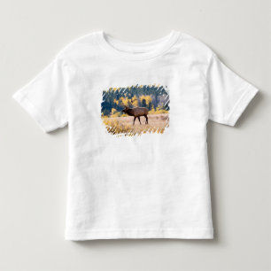 T-shirt Pour Les Tous Petits Élan dans le parc national de Rocky Mountain, Colo