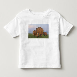 T-shirt Pour Les Tous Petits Éléphants indiens dans la prairie