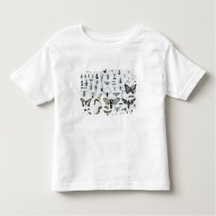 T-shirt Pour Les Tous Petits Entomologie