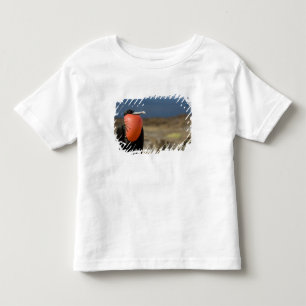T-shirt Pour Les Tous Petits Équateur, Galapagos, Île Genovesa. Prince