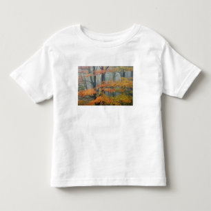 T-shirt Pour Les Tous Petits Érable rouge, Acer rubrum, portrait dans le brouil