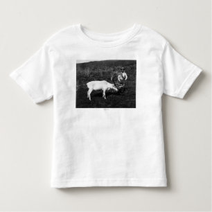 T-shirt Pour Les Tous Petits Esquimau d'Alaska et renne capturé