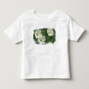 T-shirt Pour Les Tous Petits États-Unis, Californie, Parc national de Yosemite,