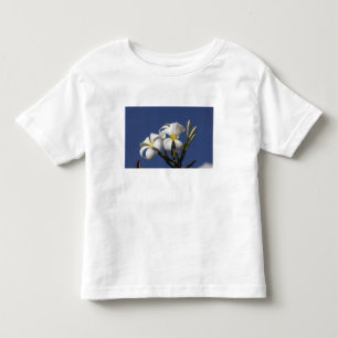 T-shirt Pour Les Tous Petits États-Unis, Hawaï, Kauai, plumeria blanc.
