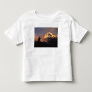 T-shirt Pour Les Tous Petits États-Unis, Oregon, Mt. Hood National Forest. Rou