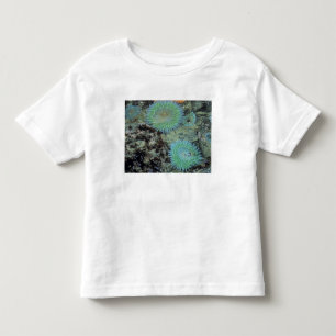 T-shirt Pour Les Tous Petits États-Unis, Oregon, Nepture SP. Mer aux tons de bi