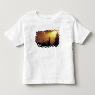 T-shirt Pour Les Tous Petits États-Unis, Tennessee, Great Smoky Mountains NP. 2