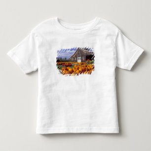 T-shirt Pour Les Tous Petits États-Unis, Vermont, Shelbourne, Citrouilles