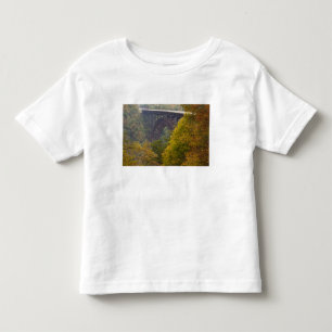 T-shirt Pour Les Tous Petits États-Unis, Virginie-Occidentale, Fayetteville. Ne